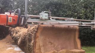 Double ended chainsaw milling Stihl MS880 and MS660 Large Oak Southampton April 2017 [upl. by Elyn]