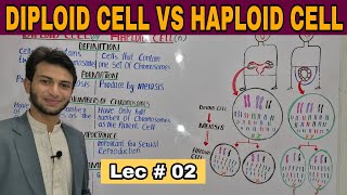 Difference between haploid cell and diploid cell by Muneer Ahmad [upl. by Oiril134]