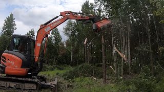 MUNCHIE DOING MUNCHIE THINGS Mulching For A Garden With Prinoth M450e900 [upl. by Trevorr662]