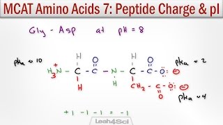 How to Calculate Peptide Charge and Isoelectric Point MCAT Trick [upl. by Nagar343]