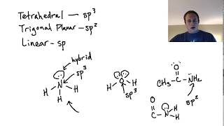 Are Lone Pairs in Hybrid Orbitals sp2 confusion [upl. by Cornelie]