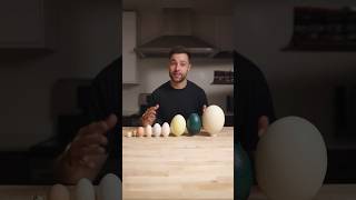 I Cooked the World’s CRAZIEST Eggs [upl. by Oza]