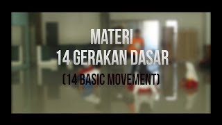 14 GERAKAN DASAR 14 BASIC MOVEMENT TAEKWONDO [upl. by Nedlog143]