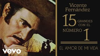 Vicente Fernández  El Amor de Mi Vida Tema Remasterizado Cover Audio [upl. by Aivirt]