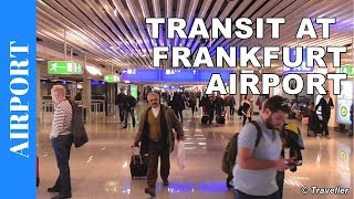 TRANSIT WALK AT FRANKFURT Airport FRA Terminal 1  Connection Flight Transfer Arriving amp Departing [upl. by Archaimbaud585]