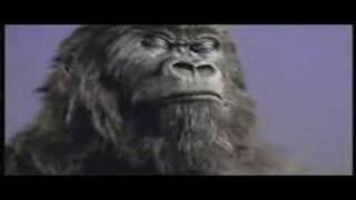 Cadbury Gorilla  In The Air Tonight Extended Mix [upl. by Bentley]