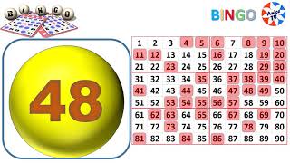 90Ball  Bingo Caller Game1 New [upl. by Mailand]