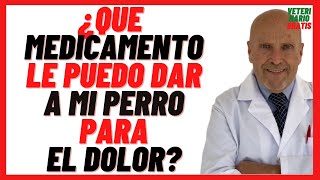 🔴 Que MEDICAMENTO Antiinflamatorio le puedo dar ami PERRO para el DOLOR 🔴 Muscular de Pata etc [upl. by Olshausen932]