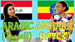 Similarities Between Arabic and Amharic [upl. by Niall]