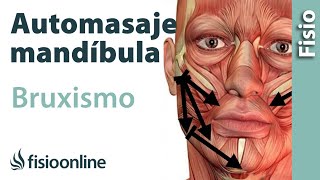 Automasaje de la mandíbula y musculatura de la masticación para bruxismo [upl. by Esorylime960]