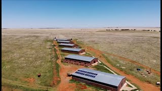 PIG BREEDING FARM R12 700 000 [upl. by Lockwood672]