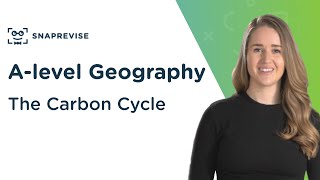 The Carbon Cycle  Alevel Geography  OCR AQA Edexcel [upl. by Otxilac]