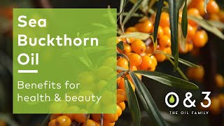 Sea Buckthorn Oil  benefits for skin and hair formulations [upl. by Aninat]