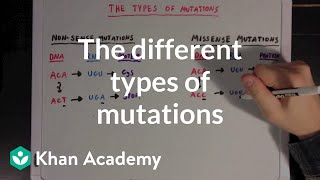 The different types of mutations  Biomolecules  MCAT  Khan Academy [upl. by Gnemgnok]