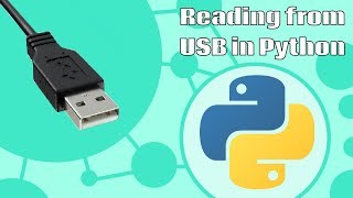 Reading USB in Python [upl. by Ecirpak]