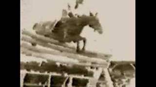 Guinness World Record  Highest Horse Jump  Explained [upl. by Ardnuahs]