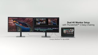 LG UltraFine™  Official Introduction  4K IPS Monitor with macOS Compatibility  LG [upl. by Aniryt]