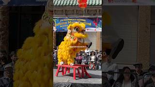 LION DANCERS IN SF CHINATOWN 2024 [upl. by Akilaz]