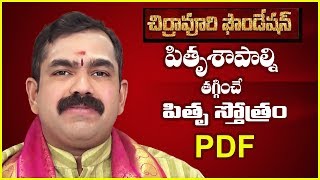 పితృ శాపాల్ని తగ్గించే పితృ దేవతా స్తోత్రం pitru stotram PDF Chirravuri FoundationJayam problems [upl. by Yantruoc]