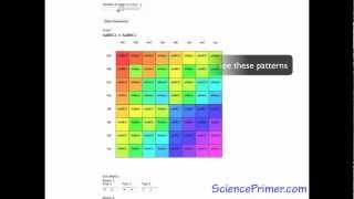 Punnett Square Calculator Overview [upl. by Lavud]