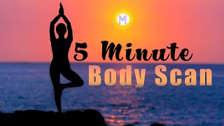 5 Minute Body Scan Meditation [upl. by Aroel]