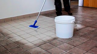 TILE CLEANER  How To Clean  Tips [upl. by Esinaj]