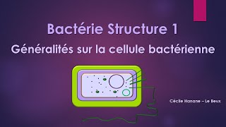 Bactérie Structure 1 BACTERIE [upl. by Anirtep]