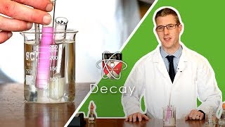 Decay  GCSE Biology Required Practical [upl. by Hurwit110]