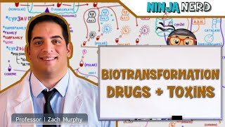 Gastrointestinal  Biotransformation of Drugs and Toxins [upl. by Osman427]