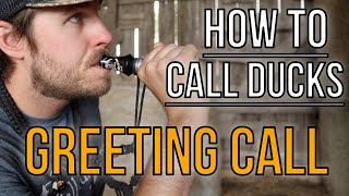 The GREETING CALL  How To Blow A Duck Call [upl. by Yrallam]