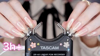 ASMR TASCAM Best Triggers for Sleep 3Hr  最高の睡眠へ誘う TASCAM 最強トリガー No Talking [upl. by Harv489]