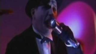 The Damned  New Rose Live at Jonathan Ross Show [upl. by Ennyleuqcaj]